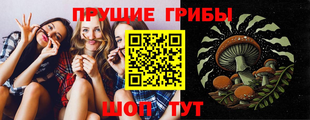 купить  сайты  Вход с VPN  Псилоцибиновые грибы ЛСД  Кизляр  Псилоцибиновые грибы прущие грибы 